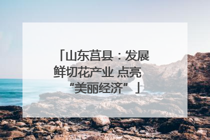 山东莒县：发展鲜切花产业 点亮“美丽经济”