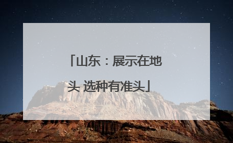 山东：展示在地头 选种有准头