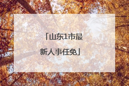 山东1市最新人事任免