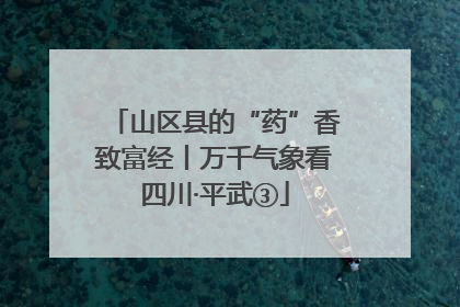 山区县的“药”香致富经丨万千气象看四川·平武③