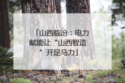 山西临汾：电力赋能让“山西智造”开足马力