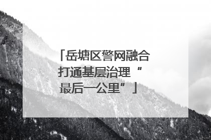 岳塘区警网融合 打通基层治理“最后一公里”