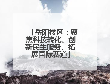 岳阳楼区：聚焦科技转化、创新民生服务、拓展国际赛道
