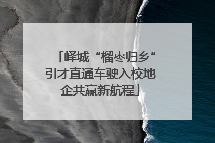 峄城“榴枣归乡”引才直通车驶入校地企共赢新航程