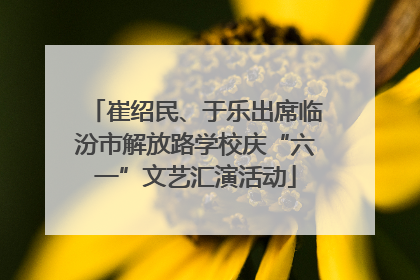 崔绍民、于乐出席临汾市解放路学校庆“六一”文艺汇演活动