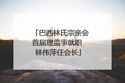 巴西林氏宗亲会首届理监事就职 林伟萍任会长