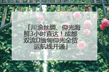 川渝丝绸、仰光海鲜3小时直达！成都双流⇌缅甸仰光全货运航线开通