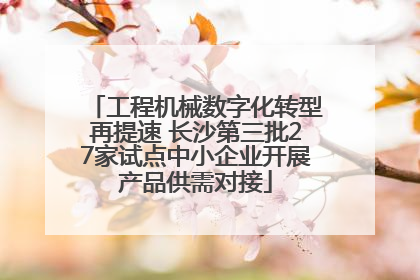 工程机械数字化转型再提速 长沙第三批27家试点中小企业开展产品供需对接