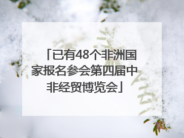 已有48个非洲国家报名参会第四届中非经贸博览会