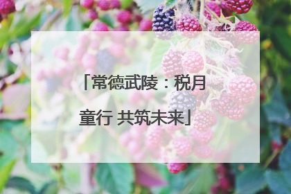 常德武陵：税月童行 共筑未来