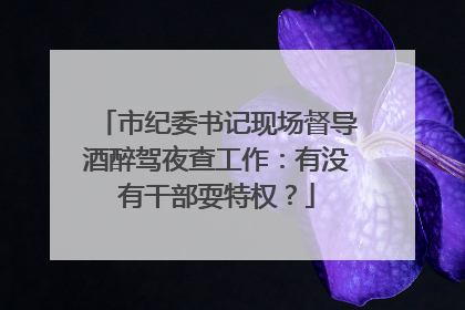 市纪委书记现场督导酒醉驾夜查工作：有没有干部耍特权？