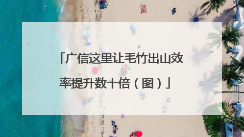 广信这里让毛竹出山效率提升数十倍（图）
