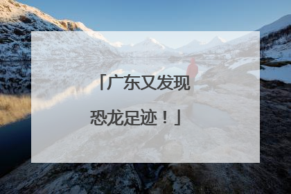 广东又发现恐龙足迹！