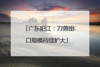广东阳江：刀剪出口规模持续扩大