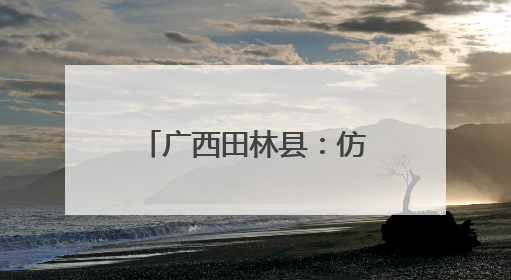 广西田林县：仿野生灵芝丰收季 山林间劳作忙