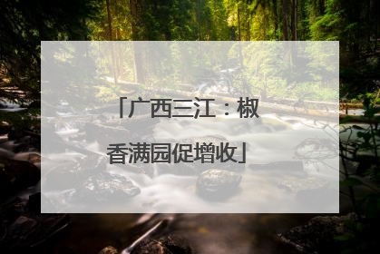 广西三江：椒香满园促增收