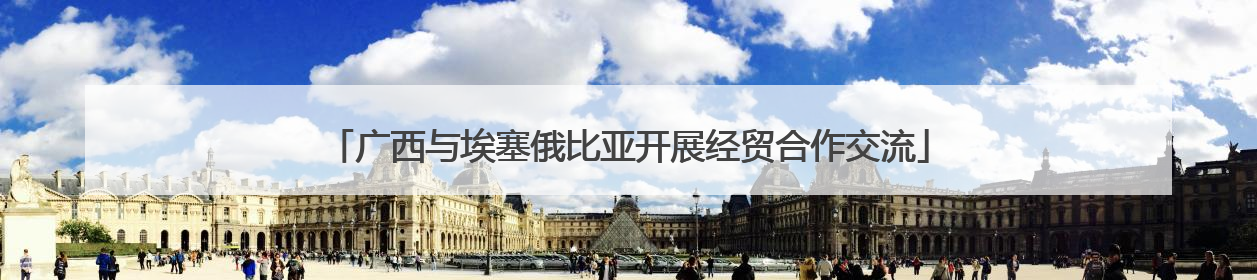 广西与埃塞俄比亚开展经贸合作交流