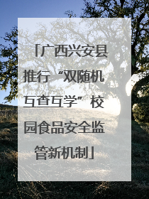 广西兴安县推行“双随机互查互学”校园食品安全监管新机制
