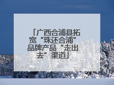 广西合浦县拓宽“珠还合浦”品牌产品“走出去”渠道