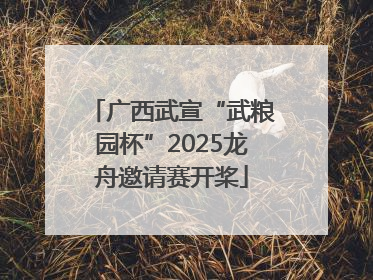广西武宣“武粮园杯”2025龙舟邀请赛开桨