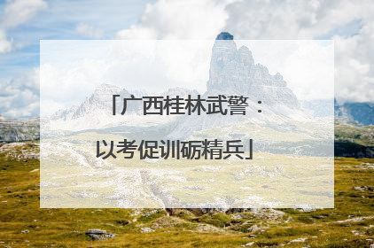 广西桂林武警：以考促训砺精兵