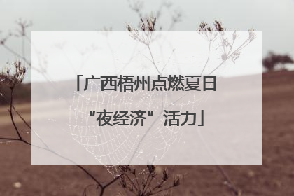广西梧州点燃夏日“夜经济”活力