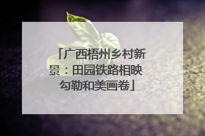 广西梧州乡村新景：田园铁路相映 勾勒和美画卷