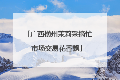 广西横州茉莉采摘忙 市场交易花香飘