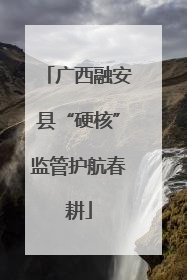 广西融安县“硬核”监管护航春耕