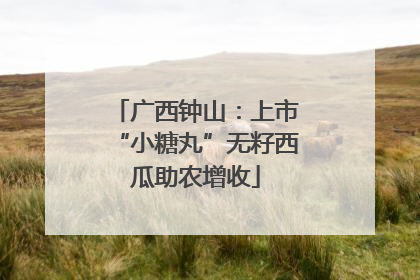 广西钟山：上市“小糖丸”无籽西瓜助农增收