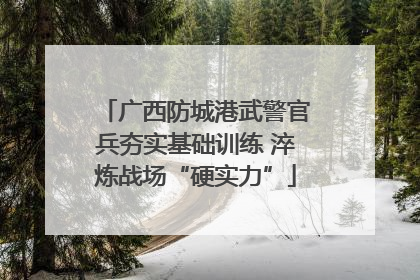 广西防城港武警官兵夯实基础训练 淬炼战场“硬实力”