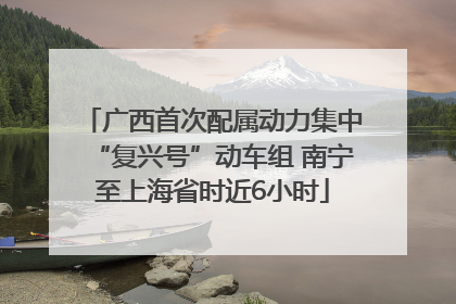 广西首次配属动力集中“复兴号”动车组 南宁至上海省时近6小时
