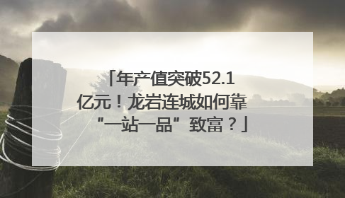 年产值突破52.1亿元！龙岩连城如何靠“一站一品”致富？