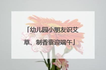 幼儿园小朋友识艾草、制香囊迎端午