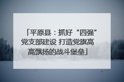 平原县：抓好“四强”党支部建设 打造党旗高高飘扬的战斗堡垒
