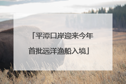 平潭口岸迎来今年首批远洋渔船入境