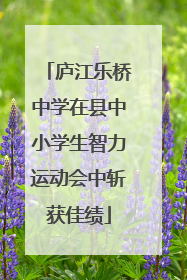 庐江乐桥中学在县中小学生智力运动会中斩获佳绩