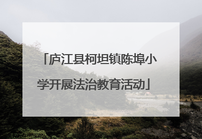 庐江县柯坦镇陈埠小学开展法治教育活动
