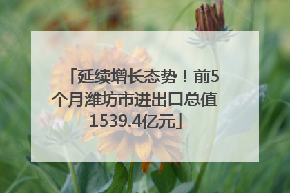 延续增长态势！前5个月潍坊市进出口总值1539.4亿元
