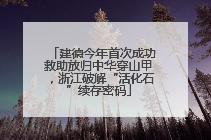 建德今年首次成功救助放归中华穿山甲，浙江破解“活化石”续存密码