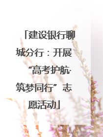 建设银行聊城分行：开展“高考护航·筑梦同行”志愿活动