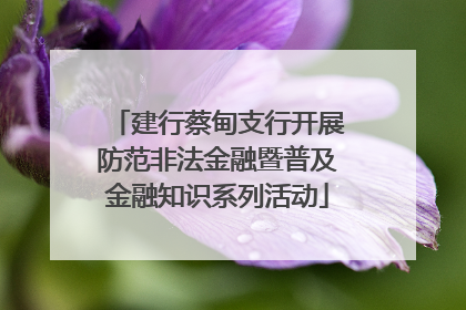 建行蔡甸支行开展防范非法金融暨普及金融知识系列活动
