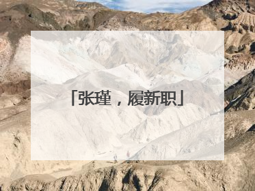张瑾，履新职