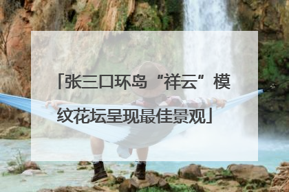 张三口环岛“祥云”模纹花坛呈现最佳景观