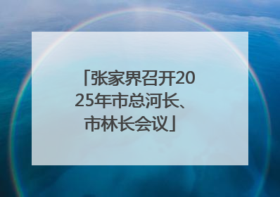 张家界召开2025年市总河长、市林长会议