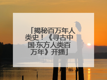 揭秘百万年人类史！《寻古中国·东方人类百万年》开播