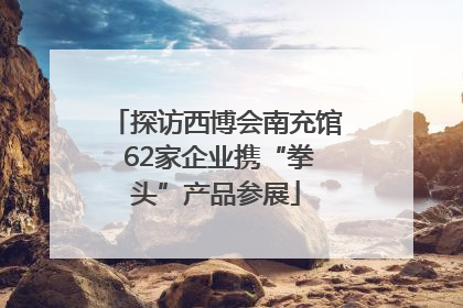 探访西博会南充馆 62家企业携“拳头”产品参展