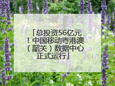 总投资56亿元！中国移动粤港澳（韶关）数据中心正式运行