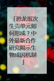 恐龙蛋次生壳单元如何形成？中外最新合作研究揭示生物成因机制