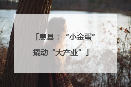 息县：“小金蛋”撬动“大产业”